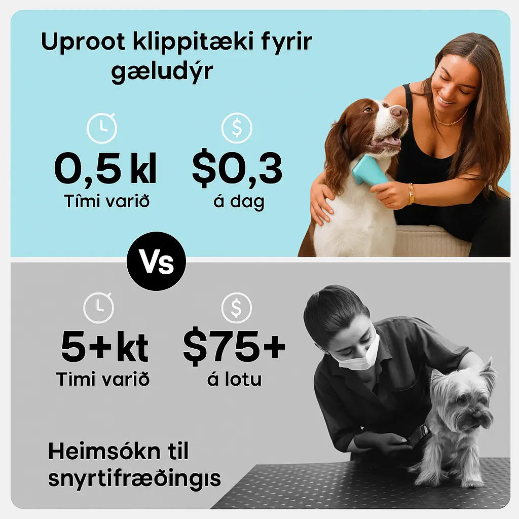 7-Í-1 Gæludýrasnyrtitæki með Ryksugu – Hljóðlaust & Óhreinindalaust fyrir Daglega Notkun Snjall Tæki
