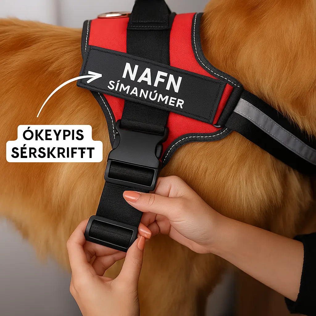 Sérsniðið Togahemjandi Hundabelti Fyrir Daglega Notkun Snjall Tæki