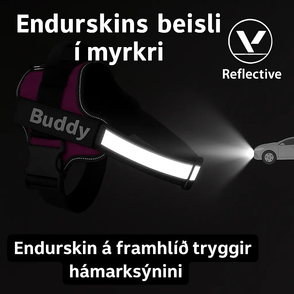 Sérsniðið Togahemjandi Hundabelti Fyrir Daglega Notkun Snjall Tæki