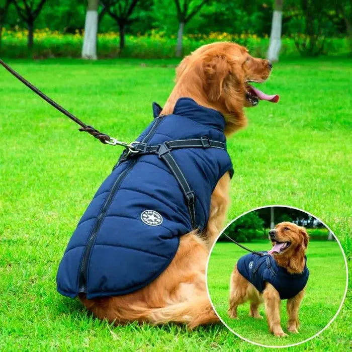 3 in 1 Dog Jacket - Snjall Tæki