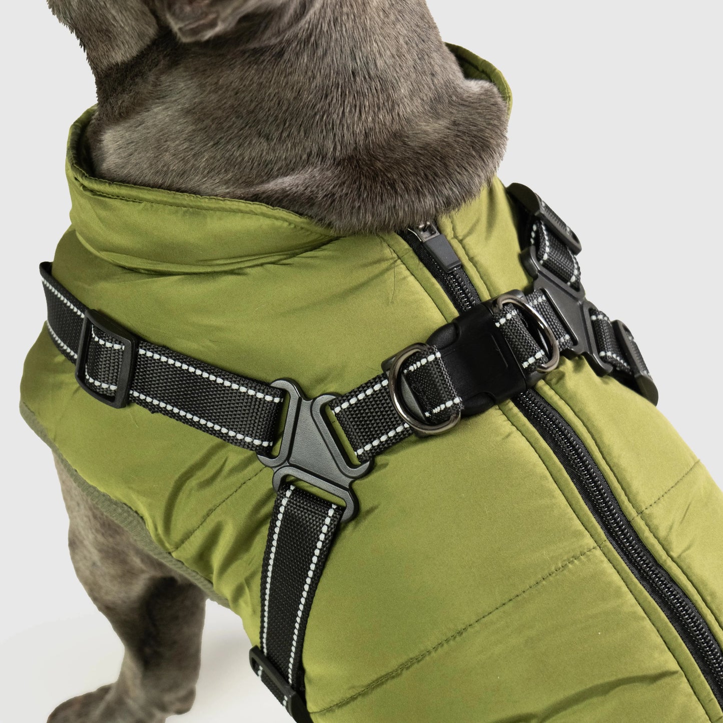 3 in 1 Dog Jacket - Snjall Tæki