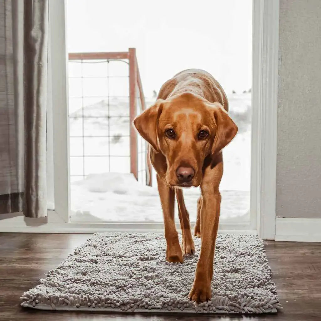 Gólfmotta fyrir Hunda – Dregur í sig Mó og Bleytu af Pörtum 🐾 Vatnsheld og Auðhreinsanleg Snjall Tæki
