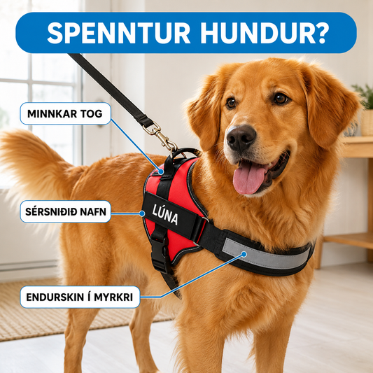 Togahemjandi Hundabelti Fyrir Daglega Notkun