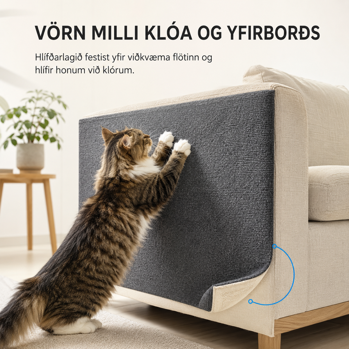 Klórvörn fyrir Ketti – Endingargott lím fyrir Veggi, Húsgögn og Horn