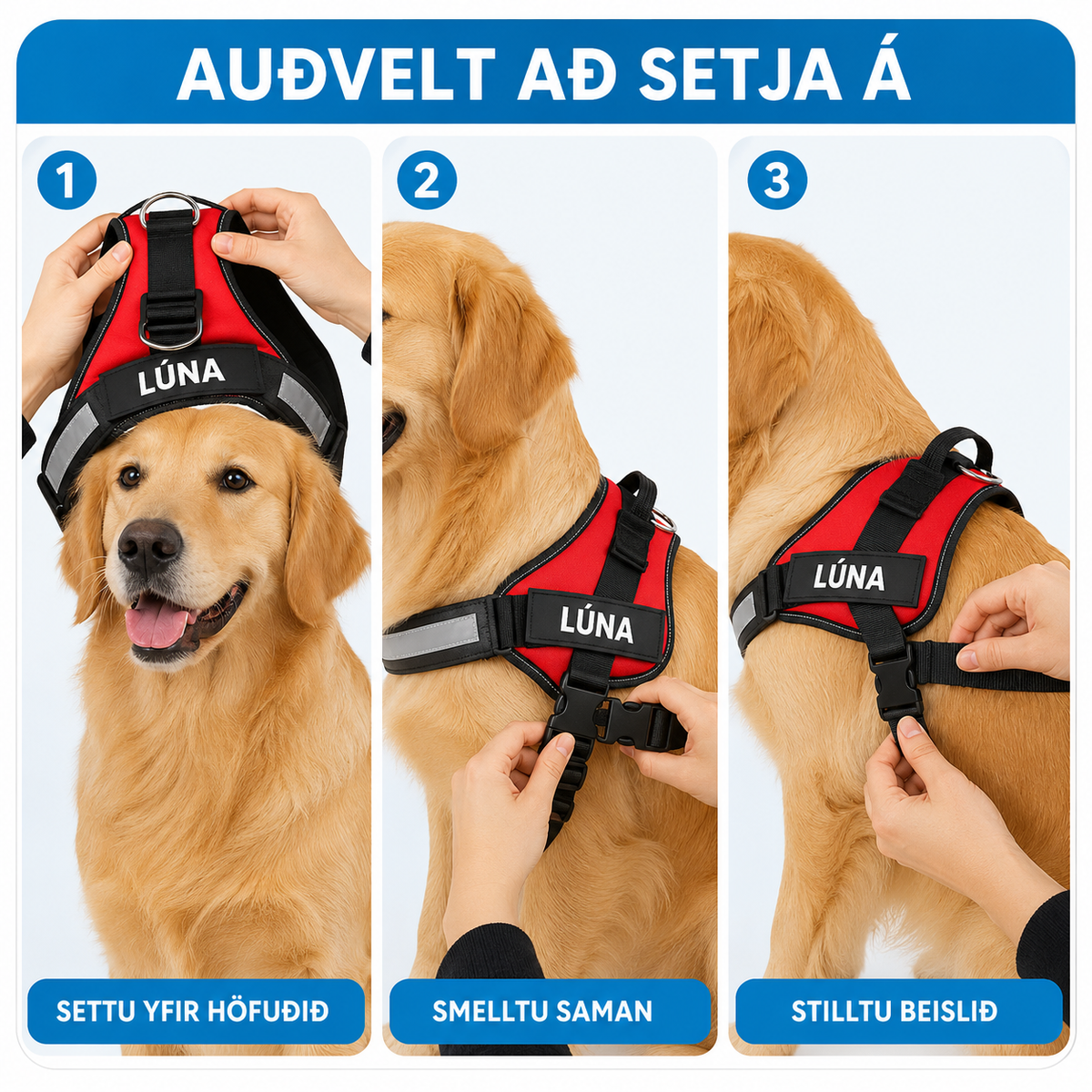 Togahemjandi Hundabelti Fyrir Daglega Notkun