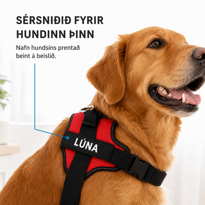 Togahemjandi Hundabelti Fyrir Daglega Notkun