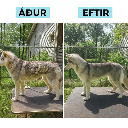 7-Í-1 Gæludýrasnyrtitæki með Ryksugu – Hljóðlaust & Óhreinindalaust fyrir Daglega Notkun Snjall Tæki
