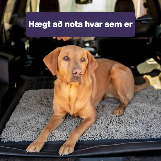 Gólfmotta fyrir Hunda – Dregur í sig Mó og Bleytu af Pörtum 🐾 Vatnsheld og Auðhreinsanleg Snjall Tæki