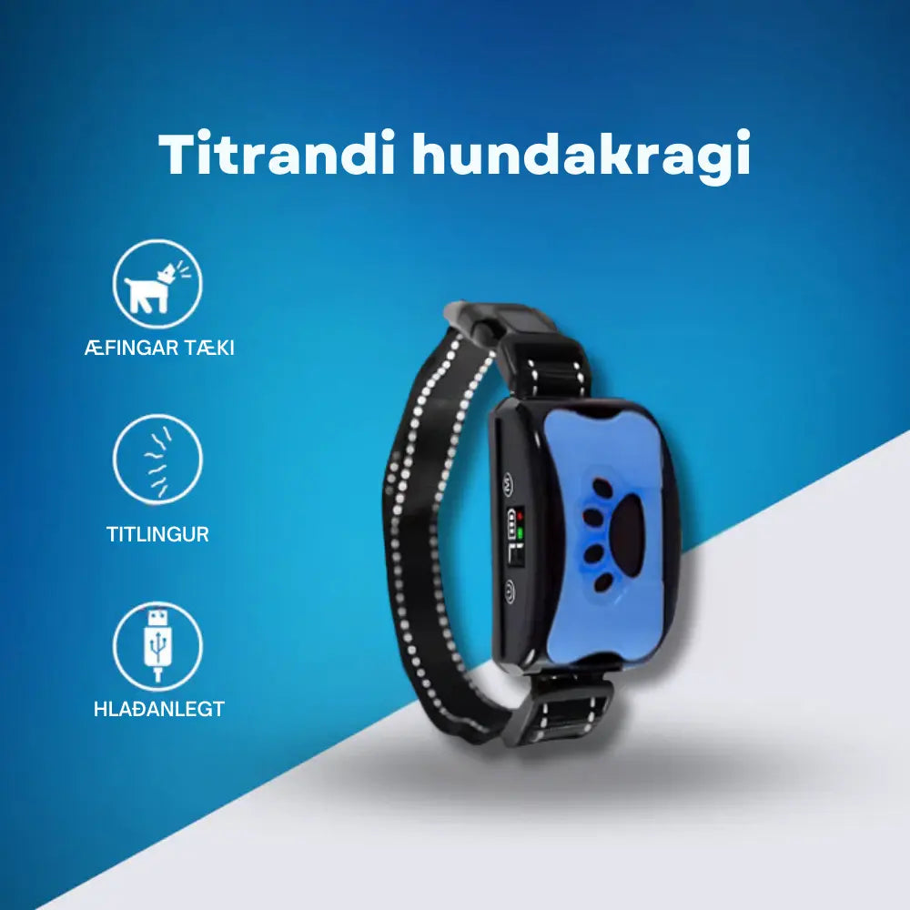 Titrandi Hundakragi - Snjall Tæki