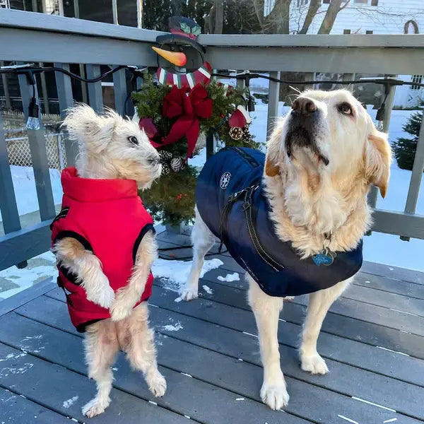 3 in 1 Dog Jacket - Snjall Tæki