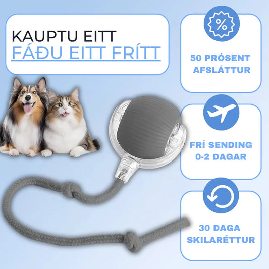 Klár Eltingarleikur fyrir Gæludýr - Snjall Tæki